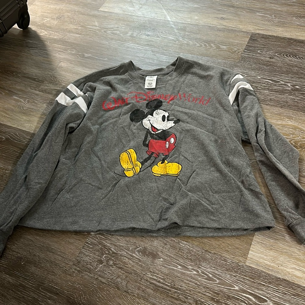Walt Disney World light weight pullover